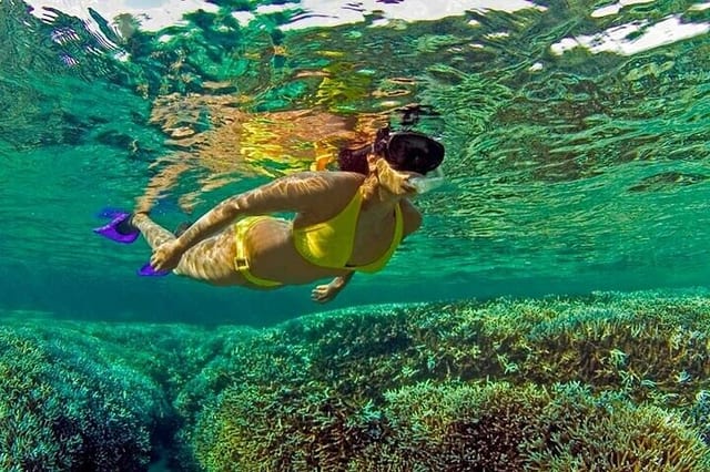 Snorkelling at Pigeon Island, Trincomalee: Guided Marine Safari