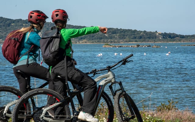 E-Bike Tour of Navarino Bay