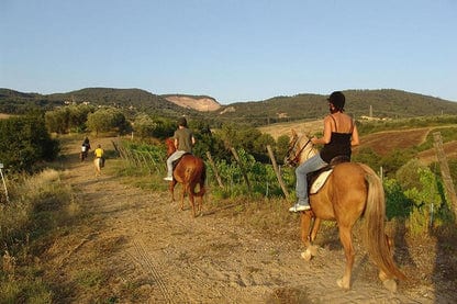 Bodrum Horse Riding Experience with Hotel Transfers