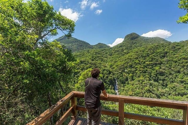 Private Tijuca Forest Hike: Waterfalls, Viewpoints and Picnic
