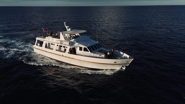 Full Day Round Malta Boat Cruise with Lunch and Swim Stops