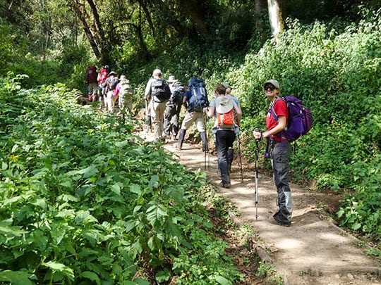 7 Day Kilimanjaro Climb via the Machame Route