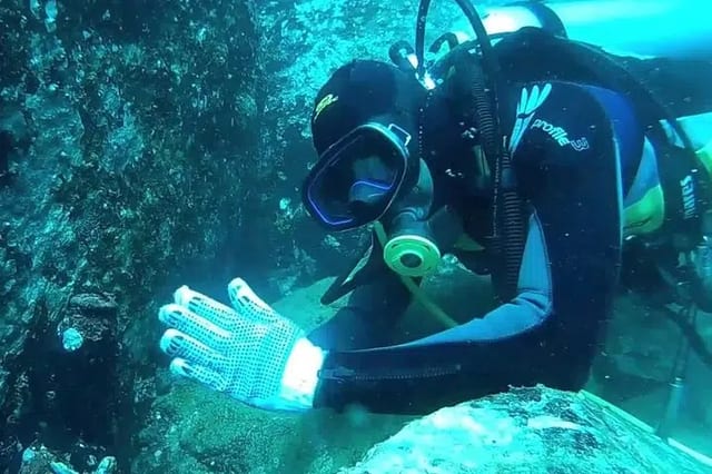 Scuba Diving in Trincomalee: Three Hour Guided Dive with Photos
