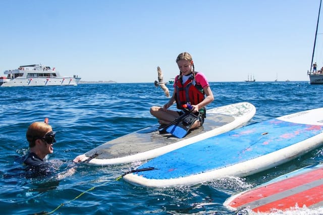 Private Stand Up Paddle and Snorkel to the Arch, Cabo San Lucas