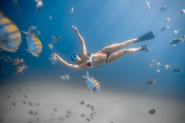 Guided Snorkel at Santa Maria and Chileno Bay Los Cabos