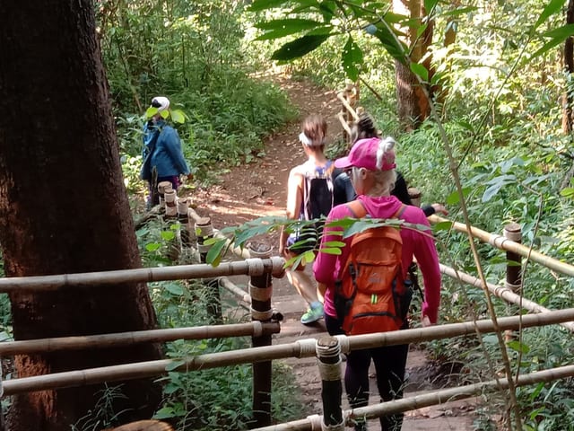 Morning Hiking at Doi Inthanon and Pha Chor Canyon