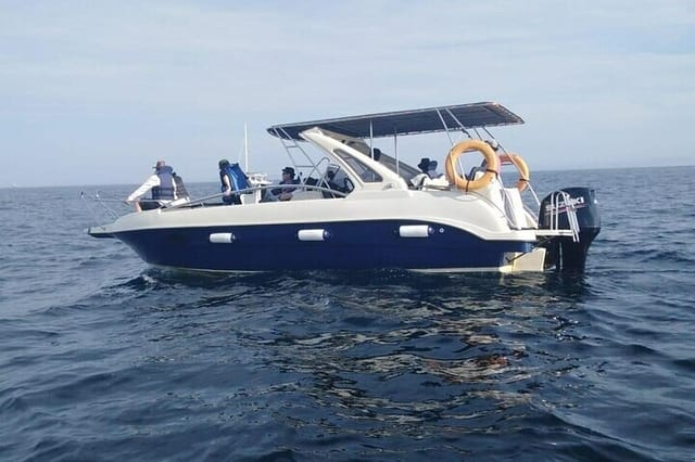 Whale Watching by Speed Boat in Mirissa