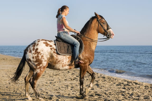 Horseback Riding Tour Marsa Alam