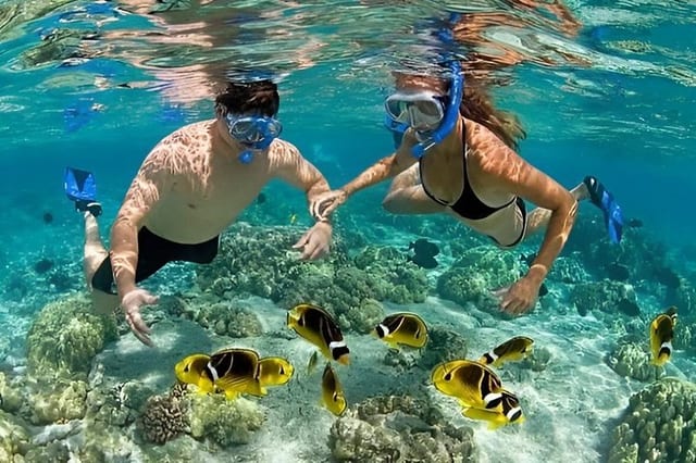 Mnemba Island Snorkel and Dolphin Tour in Zanzibar