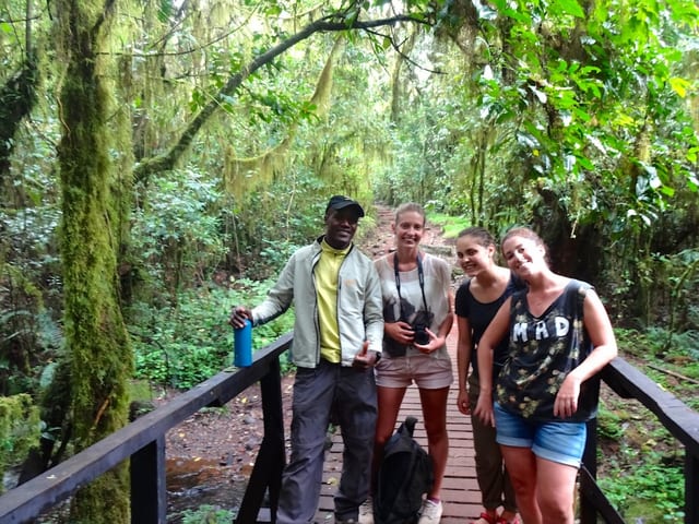 Kilimanjaro Marangu Route Day Hike to Mandara Hut