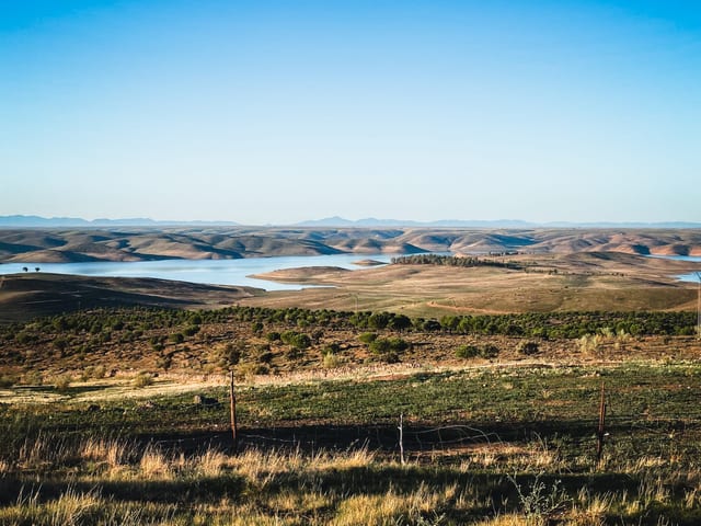 Half-Week Guided Predator Fishing Trip in Extremadura
