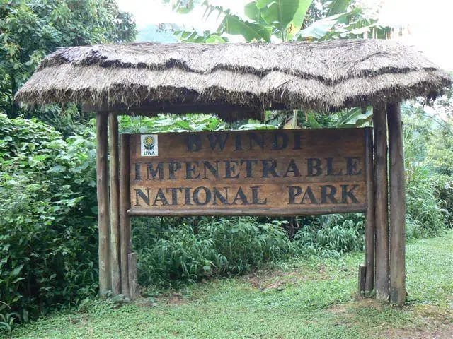 8 Days – Uganda Gorilla Safari & Chimpanzee Trekking