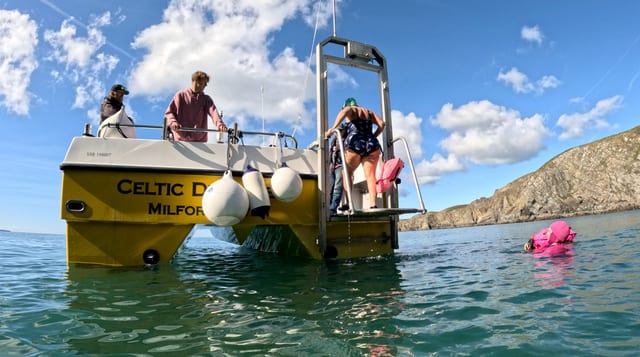 Coastal Wild Swim Boat Trip in Pembrokeshire