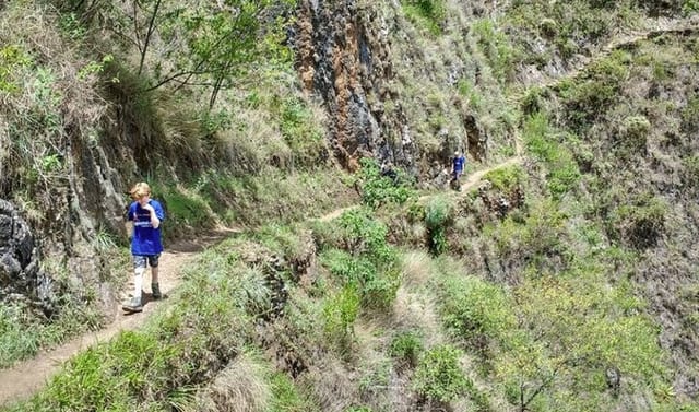 Inca Jungle Trail to Machu Picchu Hiking and Biking Tour
