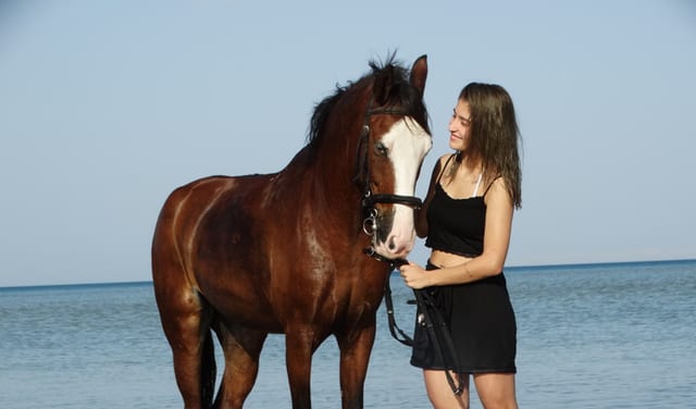 Premium 3 Hours Horse Riding Adventure with Swimming - Hurghada