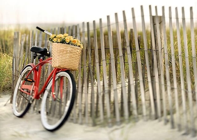 Lido Bike Tour: Beaches, Belle Époque & Venice Film History