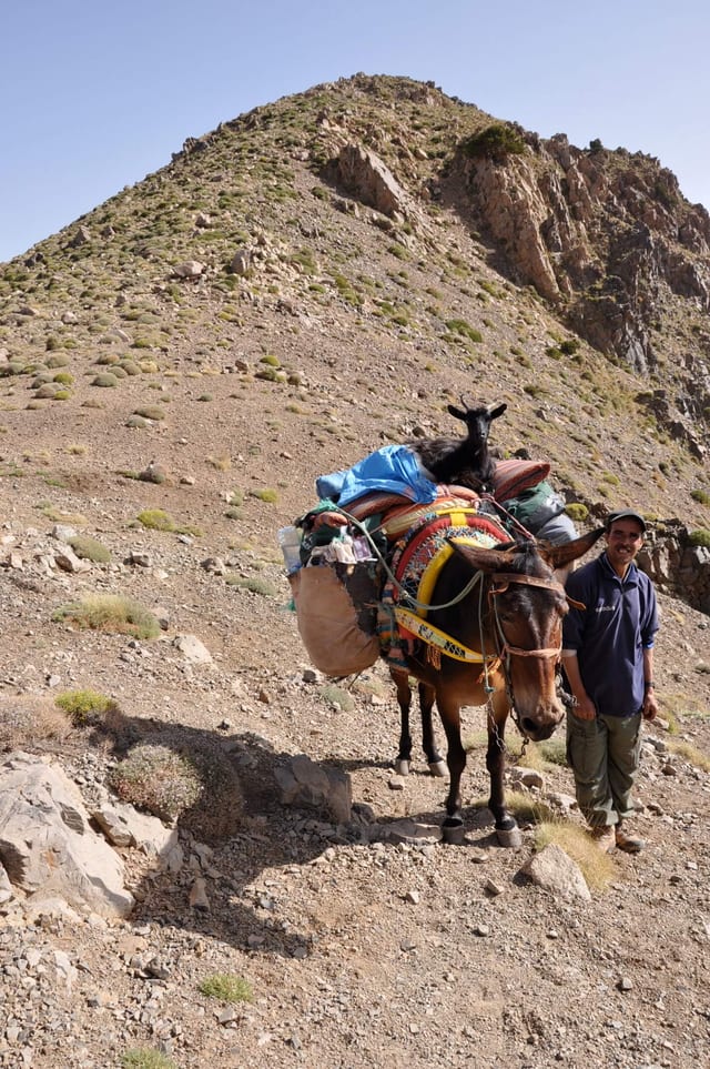 8-Day Jbel Saghro Trek from Marrakech