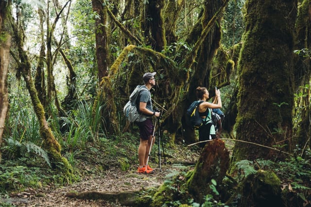 2 Day Kilimanjaro Hike via the Marangu Route
