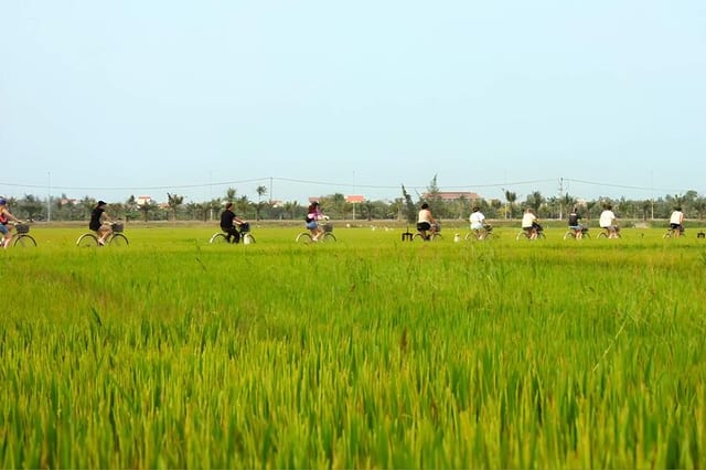 Hoi An Countryside Cycling from Da Nang
