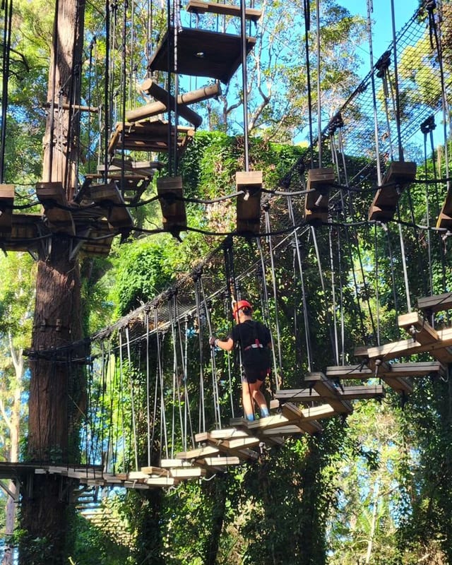Atlas Mountains Zipline Adventure with Berber Lunch from Marrakesh