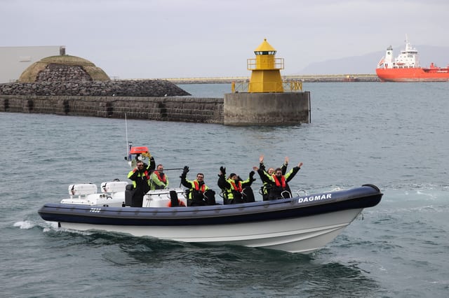 RIB Whale Expedition in Reykjavik