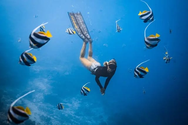 Private Guided Snorkel at Santa Maria and Chileno Bay, Los Cabos
