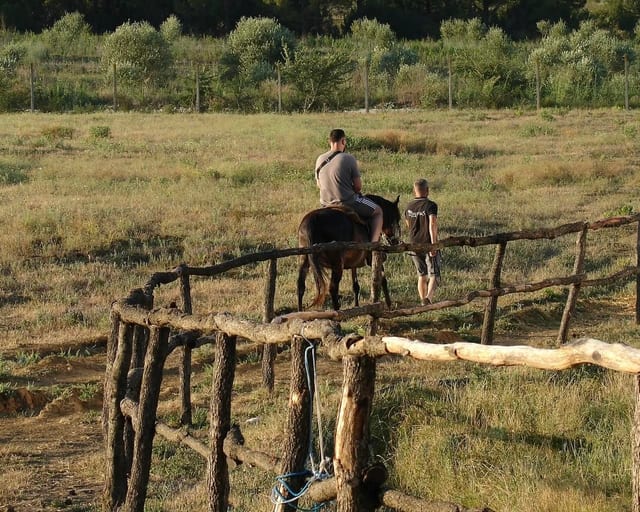 Horseback Ride in Berat