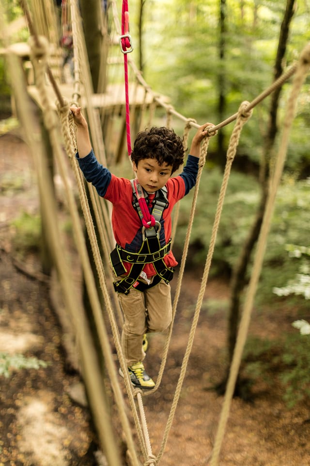 ‘Mini Trek’ Kids High Ropes Adventure in Manchester