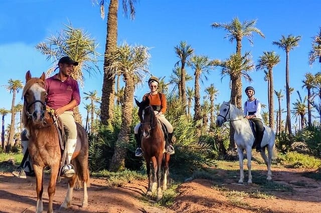 Two Hour Horse Ride in the Palmeraie