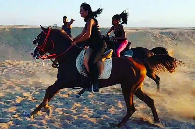 Horse and Quad Safari in Sharm El Sheikh