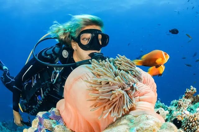 Scuba Diving Adventure in Dubai