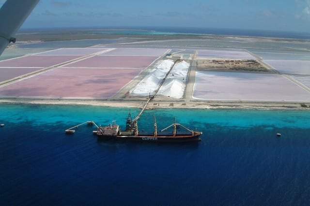 Private Dive or Snorkel and South Island Tour in Bonaire
