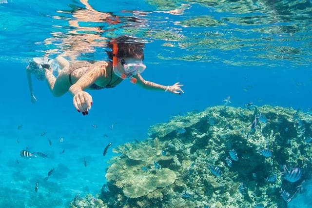 Ras Mohamed and White Island Snorkelling Trip from Sharm El Sheikh
