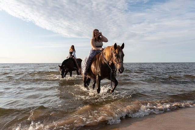 Sun and Sea Horse Ride in Hurghada