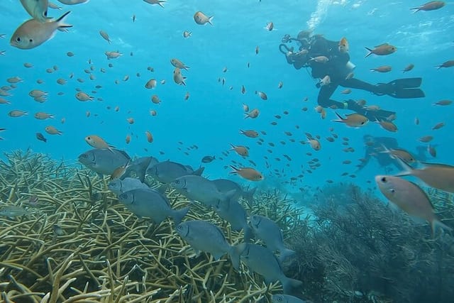 Try Scuba Diving Experience in Bonaire