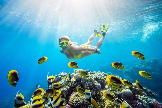 Giftun Island Snorkelling Cruise in Hurghada