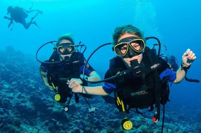 Scuba Diving Day from Side