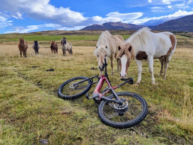 Svarfadadalur Valley E-Mountain Biking in Dalvik