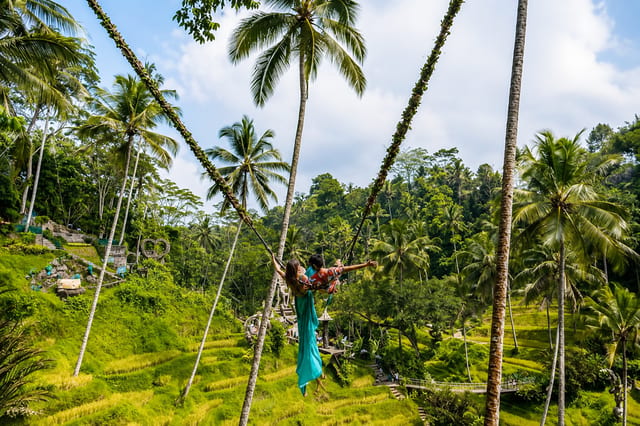 Alas Harum Swing and Zipline Adventure in Ubud – With Lunch