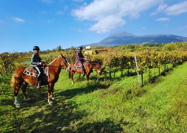 Paseo panorámico a caballo por el monte Vesubio con cata de vinos