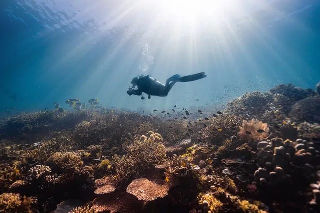 PADI Advanced Open Water in Sharm El Sheikh