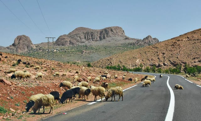 4-Day Berber Villages Trek and Mountain Biking Adventure