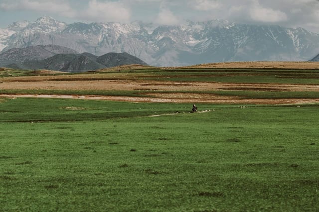 6-Day Atlas Village-to-Village Trek
