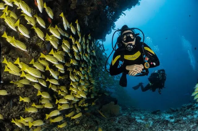 Discover Scuba Dive in Dubai