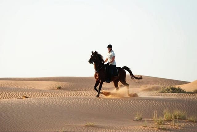 Horse Ride and Lunch in Agadir
