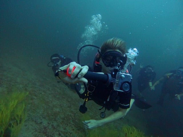 Full Day: Three Certified Dives in Dibba Musandam, Oman