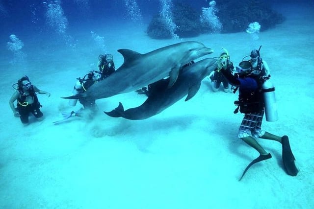 Yacht Diving Day in Hurghada