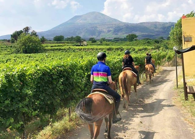 Vesuvius Sunset Horseback Ride and BBQ Experience