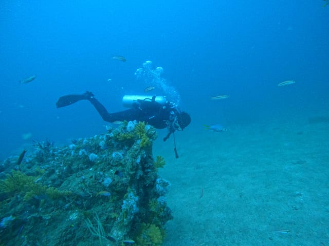 Two Certified Dives with Transfer in Fujairah