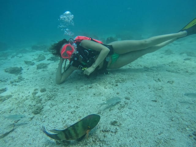 Try Scuba and Snorkelling in Fujairah